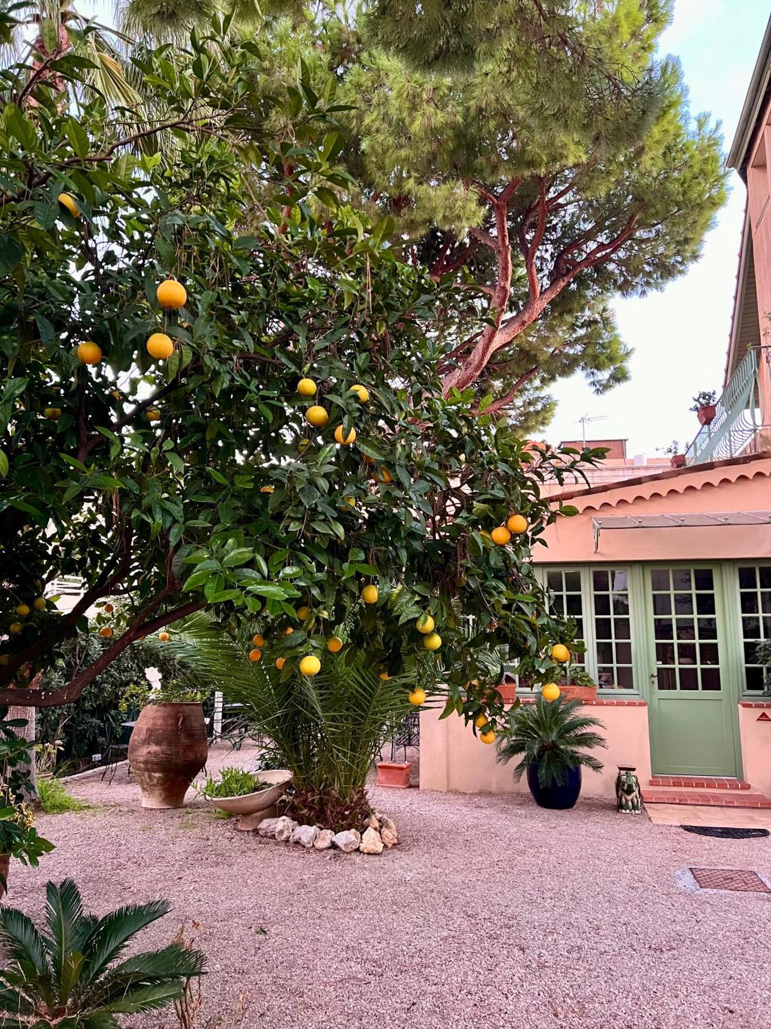 Hotel Le Ponteil Antibes Exteriör bild